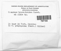 Image Associated With the Occurence
